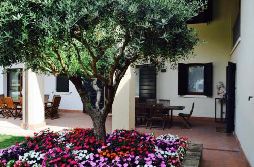 a garden with flowers and a tree in a courtyard at Bed and Breakfast Ca’ Pisani in Stra