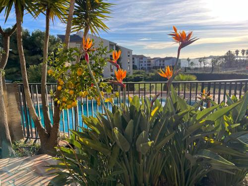 un groupe de fleurs devant une clôture dans l'établissement T2 Rez de jardin 4 personnes acces direct piscine superbe vue mer / Parking privé ombragé l'AM, à Six-Fours-les-Plages