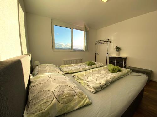 2 camas individuales en una habitación con ventana en Apartment Säntisblick in Arbon von Swisspartments, en Arbon