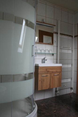 La salle de bains est pourvue d'un lavabo et d'une douche. dans l'établissement Ferienhaus Helbig Buckow, à Buckow