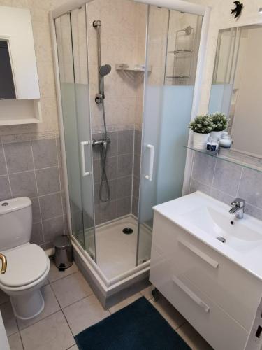 une salle de bain avec une douche, des toilettes et un lavabo dans l'établissement Appartement Le Mistral, à Balaruc-les-Bains