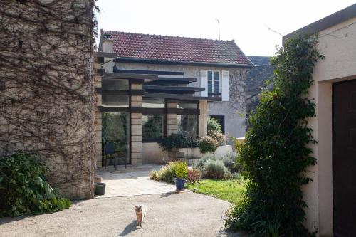 um gato parado no pátio de uma casa em Le Clos de Gally em Chavenay