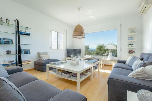 a living room with two blue couches and a table at V022 - VILLA ELS OLIVARS in Pau