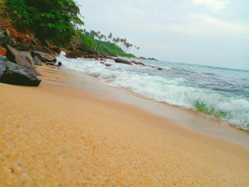 Foto dalla galleria di shashi villa a Tangalle