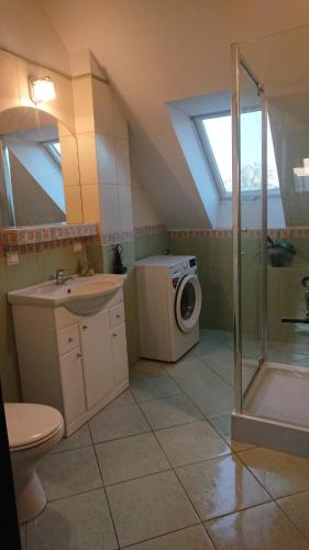 bagno con lavandino doccia e lavatrice di DIONIZY a Kosakowo