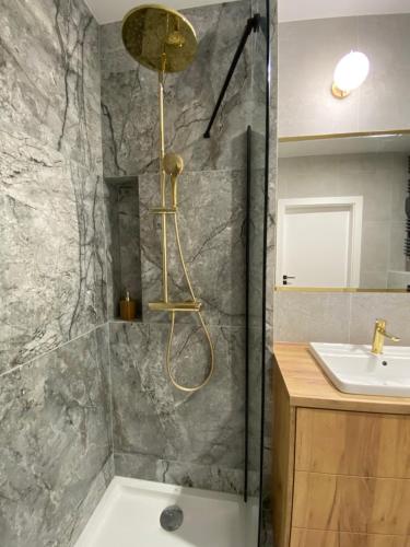 La salle de bains est pourvue d'une douche et d'un lavabo. dans l'établissement Wileńska home apartment 2, à Varsovie