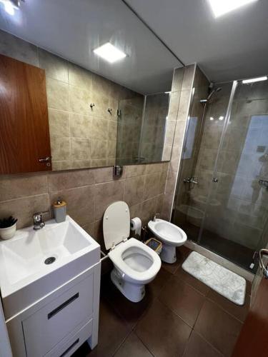 Mono frente al sanatorio de la mujer في روزاريو: حمام مع مرحاض ومغسلة ودش