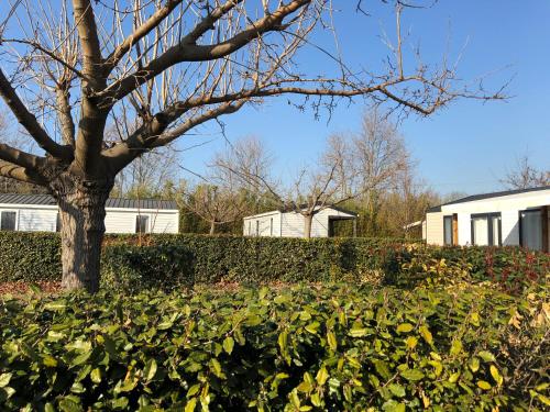 Сад в Camping L' Arlesienne