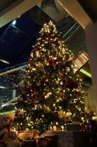 a christmas tree in a building with presents under it at The Peacock at Barlow in Chesterfield