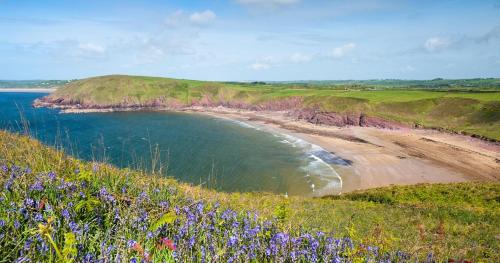 a view of a beach with purple flowers on a hill at Manorbier Castle Inn Bay Room in Manorbier