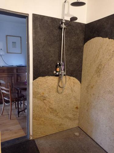 a room with a shower in the corner of a room at le gîte des remparts in Aywaille