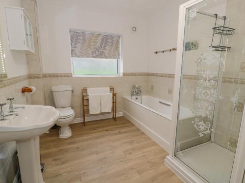 a bathroom with a toilet and a sink and a shower at Cynefin in Llandyfrydog