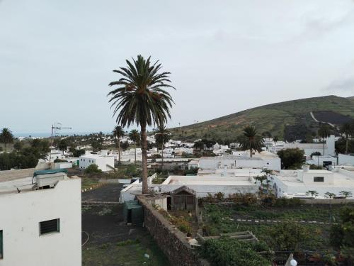 a view of a town with a palm tree at Casa Isidro in Haría