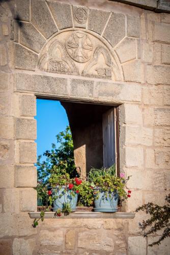 a window with four potted plants on a window sill at Revaklı Ev Guest House in Rizokarpaso
