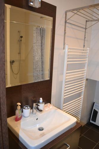 lavabo con espejo y ducha en Panorama Apartmany, en Štrbské Pleso
