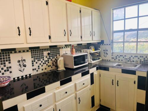 a kitchen with white cabinets and a microwave at City View Accomodations Apt 2 in Roseau