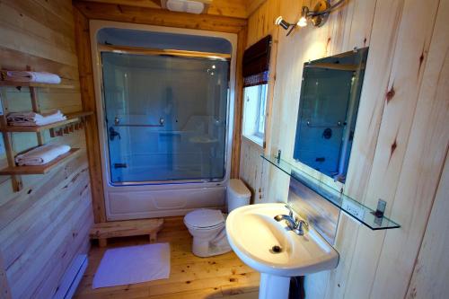 een badkamer met een wastafel en een toilet bij Chalets du bout du monde in Gaspé