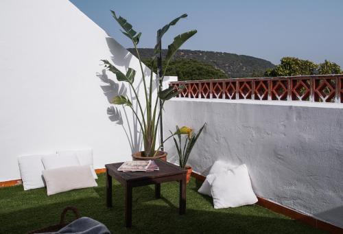 een patio met een tafel en een potplant bij La Posada de Trafalgar in Los Caños de Meca