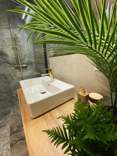 a bathroom with a white sink and a plant at Wileńska home apartment 3 in Warsaw