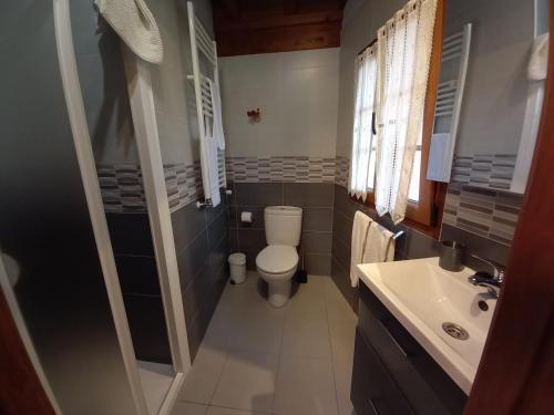 a bathroom with a toilet and a sink at Casas Rurales La Casina in Intriago