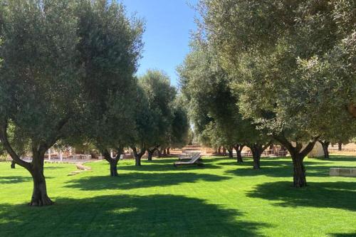 a park with trees and a bench in the grass at Boutique Hotel Masseria Sottomasi in Savelletri di Fasano