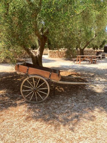 a wooden cart sitting in front of a tree at Boutique Hotel Masseria Sottomasi in Savelletri di Fasano