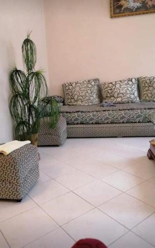 uma sala de estar com um sofá e um cacto em Ain lbaida em Casablanca