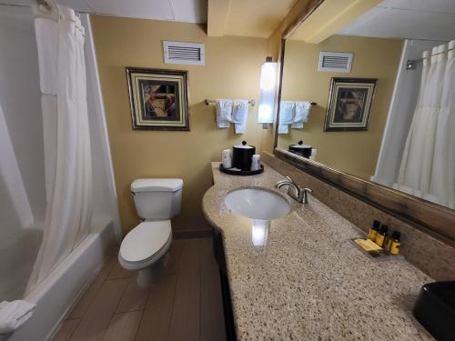 La salle de bains est pourvue de toilettes, d'un lavabo et d'une baignoire. dans l'établissement Wingate by Wyndham Greensboro-Coliseum, à Greensboro
