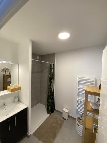 une salle de bain avec douche et lavabo dans l'établissement Charmant appartement neuf et confortable classé 4 étoiles, à Biscarrosse