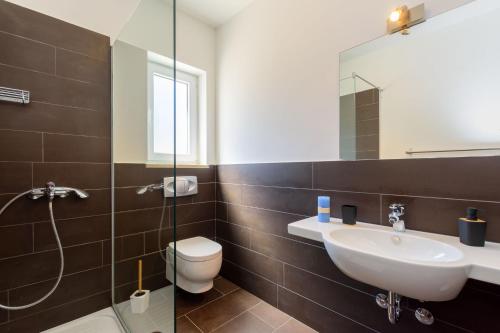 een badkamer met een wastafel, een toilet en een spiegel bij Villa Dada, Žminj, Istria in Žminj