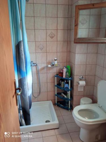 a bathroom with a shower and a toilet at Persefoni's Traditional House in Promírion