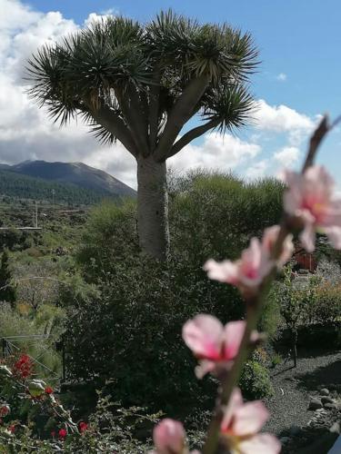 Foto HACIENDA LA CENTENARIA,CASAS RURALES 6