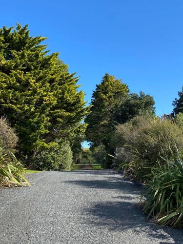a road with trees on the side of it at The Lakes - Kai Iwi Lakes Exclusive Retreat in Kaihu