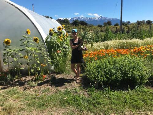 a woman standing next to a field of sunflowers at Refugio Huerta Los Maquis in Puerto Guadal