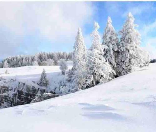 a snow covered hill with trees in the background at Boutique Chalet Panoramic Views Hot Tub in Vers L'Eglise