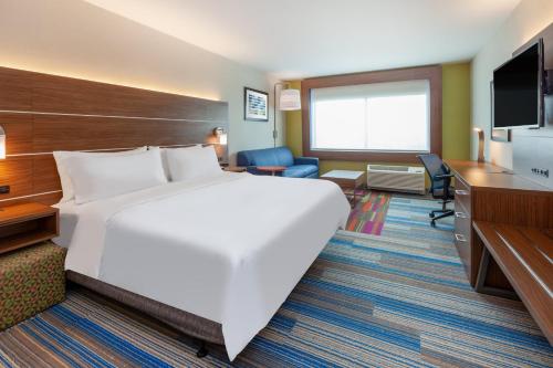 a hotel room with a large bed and a television at Holiday Inn Express & Suites Brunswick-Harpers Ferry Area by IHG in Brunswick