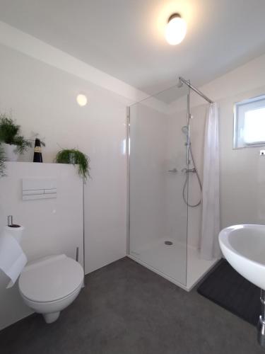 łazienka z prysznicem, toaletą i umywalką w obiekcie Attic apartment Catnip w Bratysławie