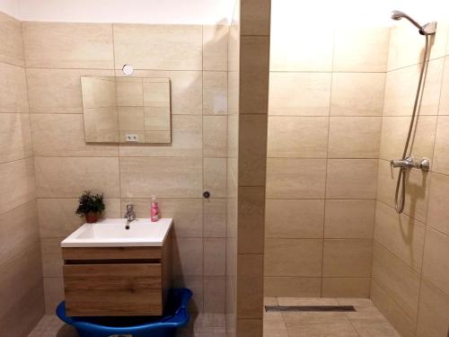 a bathroom with a sink and a shower at Nagyerdő - Simonyi út in Debrecen