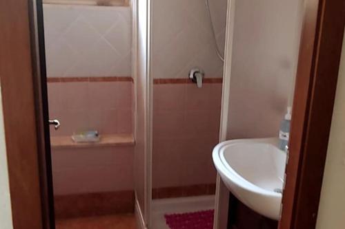 een kleine badkamer met een wastafel en een douche bij Le Magnolie Villa esclusiva vicino Roma e il lago in Nepi