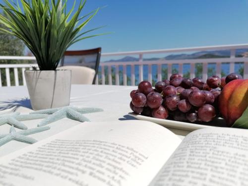 un tavolo con un libro aperto e un piatto di frutta di Beach apartments Seahorse and Seastar, Pelješac peninsula a Putniković