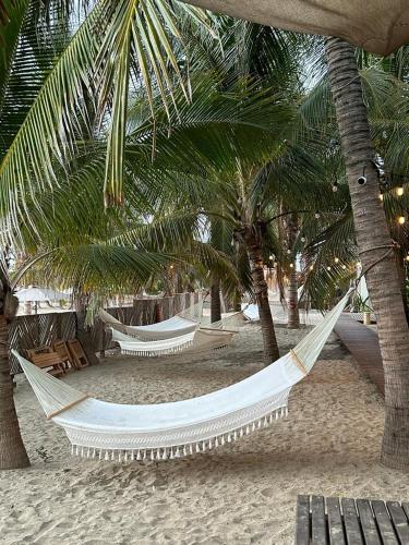 two hammocks on a beach with palm trees at Casa Kuaa in Brisas de Zicatela