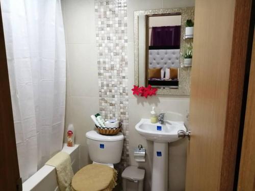 La salle de bains est pourvue de toilettes, d'un lavabo et d'un miroir. dans l'établissement Hermoso y cómodo apartamento familiar en Ciudad Juan Bosch, à Los Paredones