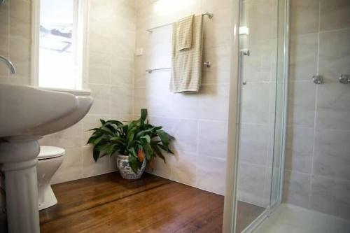 a bathroom with a shower and a toilet and a plant at Tamarind Street Cottage. Maleny, Queensland in Maleny