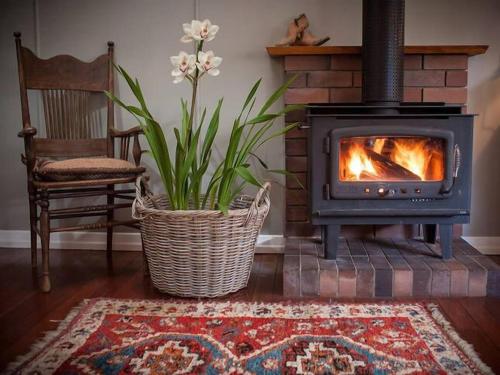 a living room with a fireplace and a plant at Tamarind Street Cottage. Maleny, Queensland in Maleny
