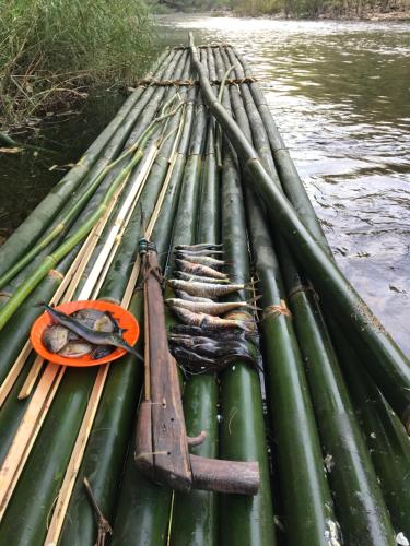 a group of bamboo poles in the water at Happy Homestay Banlung & Trekking in Banlung