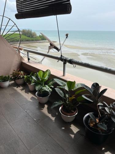 uma fila de vasos de plantas numa varanda com vista para a praia em PD VIP SEAVIEW w Wifi n Smart TV em Port Dickson