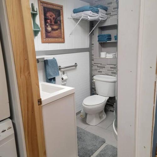 a small bathroom with a toilet and a sink at Outlaw Cache in Chama
