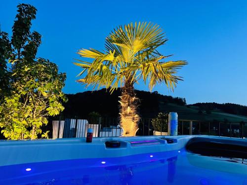 a palm tree in front of a swimming pool at perfect lifestyle Design Boutique & Private SPA in Gebenstorf