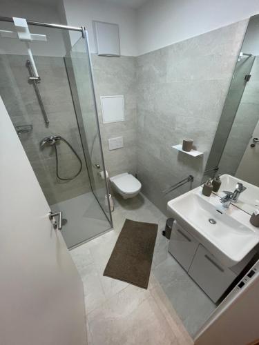 a bathroom with a shower and a sink and a toilet at A place to call home in Vienna