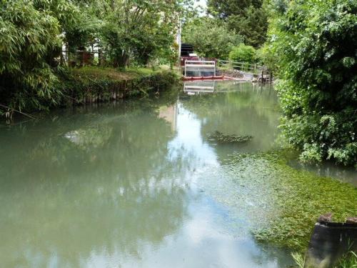 Photo de la galerie de l'établissement Chalet nature climatisé près d'une rivière avec terrasse, barbecue, et parking privé - FR-1-410-384, à Vaas